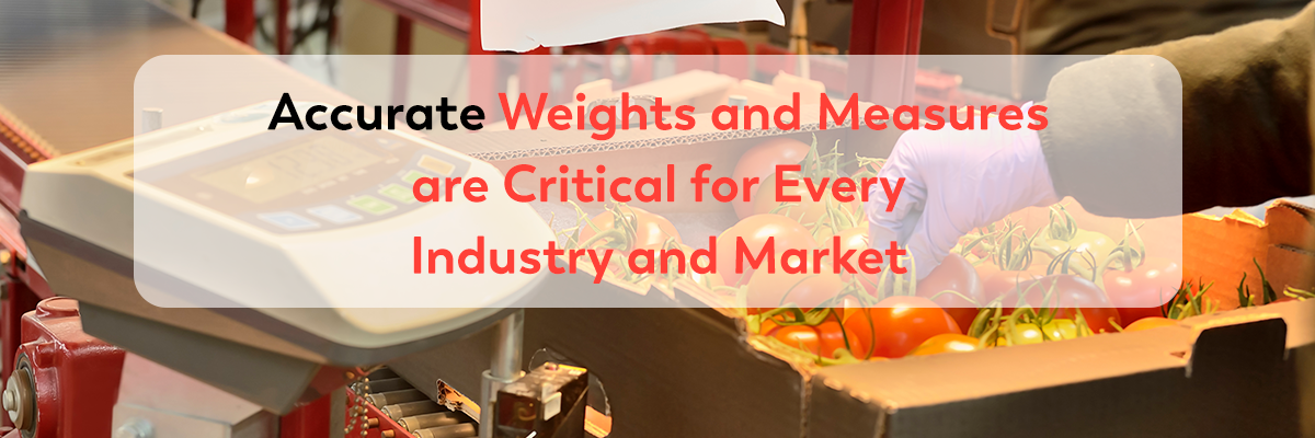 Truck Scales: Weight Matters - Accurate Scale Industries Ltd.